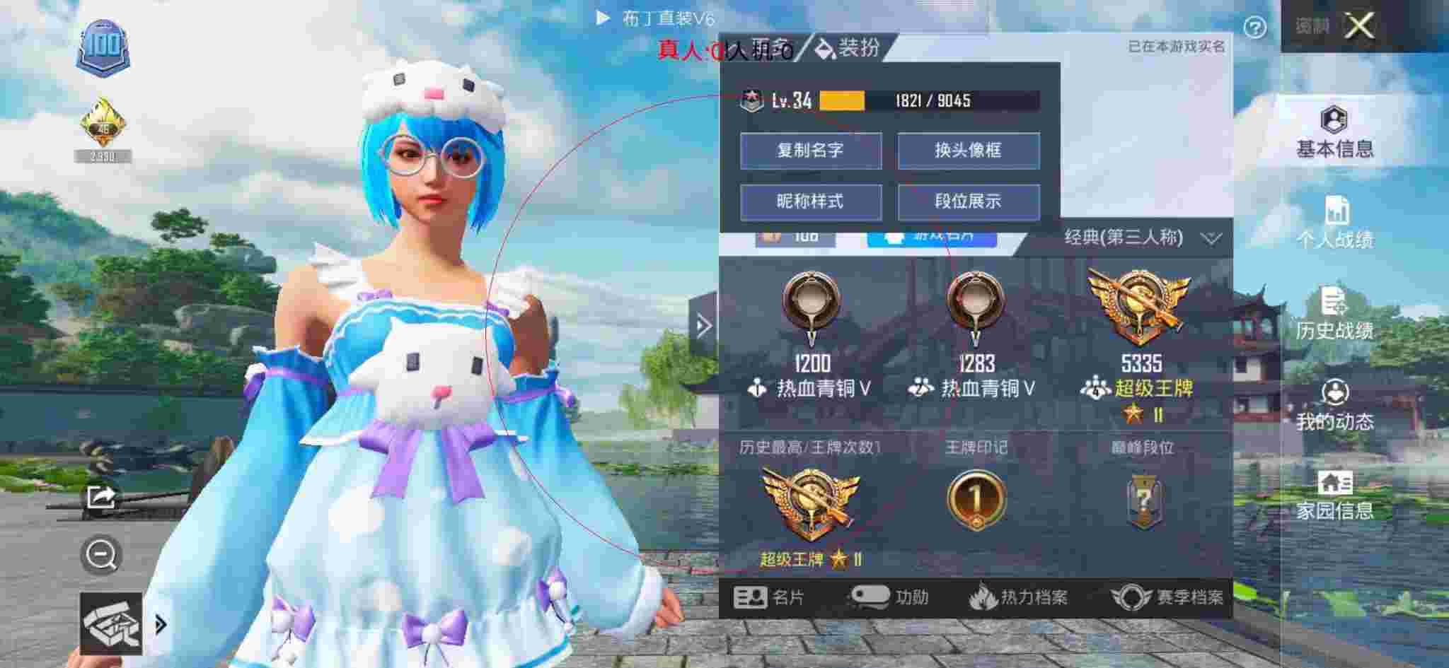 和平精英布丁直装透视 - 大神猪辅助辅助预览图